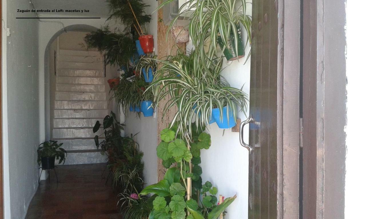 Loft De La Morena Y Estudio Jr Вьер де ла Фронтера Экстерьер фото